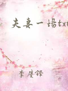 夫妻一场txt