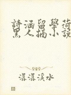 诗涵留学荷兰被黑人摘小说