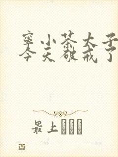 宁小茶太子殿下今天破戒了吗免费阅读