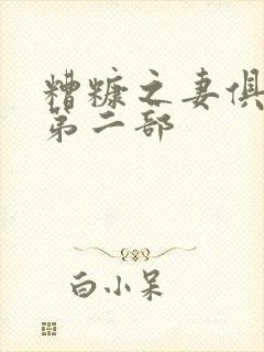 糟糠之妻俱乐部第二部