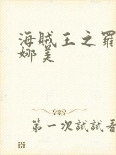 海贼王之罗宾h娜美