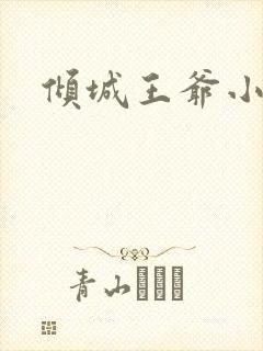倾城王爷小小妃