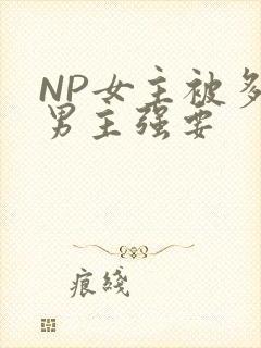 NP女主被多个男主强要