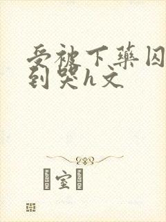 受被下药囚禁脔到哭h文