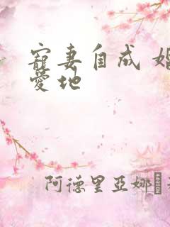 宠妻自成 婚天爱地