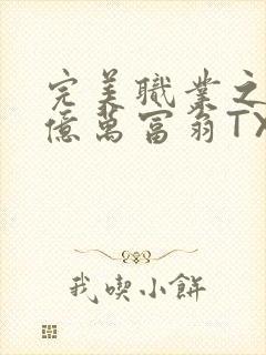 完美职业之我是亿万富翁TXT