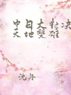 中日大对决  天地双雄