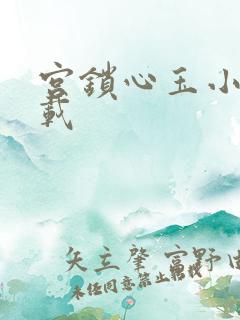 宫锁心玉小说下载