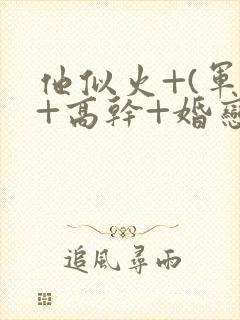 他似火+(军婚+高干+婚恋)