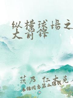 纵横球场之暴力大前锋