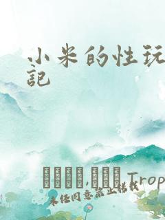 小米的性玩具日记