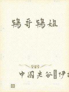 鸨哥鸨姐