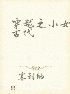 穿越之小女子闹古代