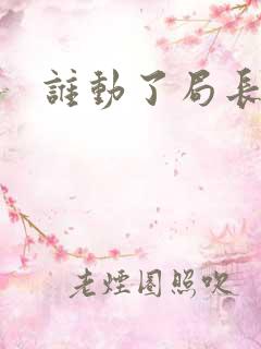 谁动了局长夫人