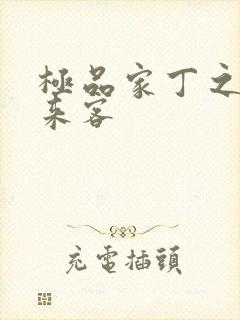 极品家丁之远方来客