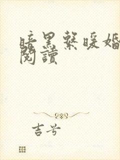 暗黑系暖婚免费阅读