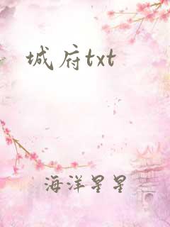 城府txt