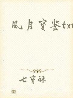 风月宝鉴txt