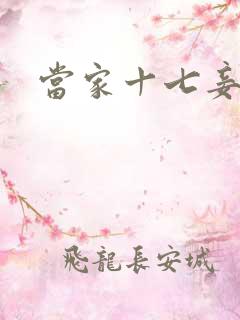 当家十七妾