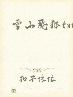 雪山飞狐txt
