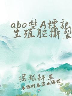 abo双A标记生殖腔撕裂