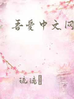 吾爱中文网