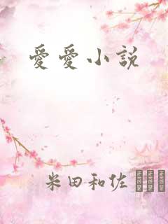爱爱小说