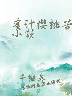 蜜汁樱桃苦咖啡小说