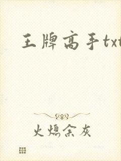 王牌高手txt