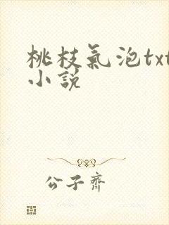 桃枝气泡txt小说