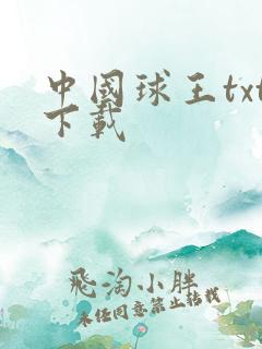 中国球王txt下载