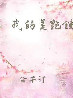 我的美艳馊子