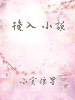 后入 小说