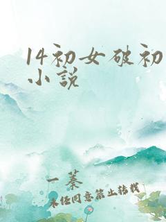 14初女破初的小说