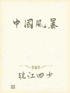 中国风暴