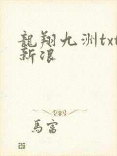 龙翔九洲txt新浪
