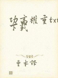 功高权重txt下载