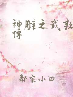 神雕之武敦儒大传