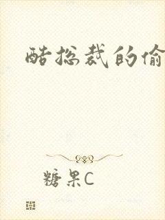 酷总裁的偷孕妻