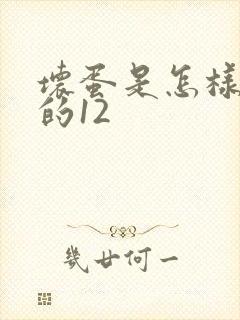 坏蛋是怎样炼成的12