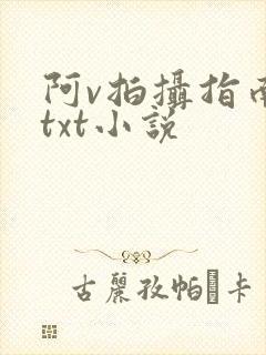 阿v拍摄指南说txt小说