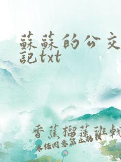 苏苏的公交车日记txt