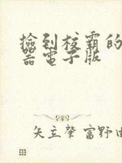 捡到校霸的遥控器电子版