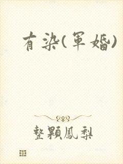 有染(军婚)