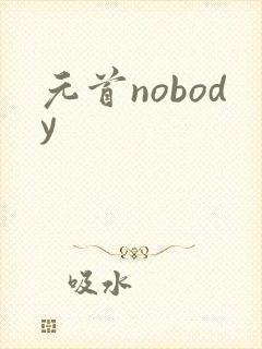 元首nobody