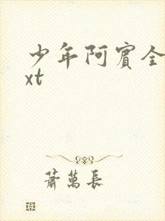 少年阿宾全集txt