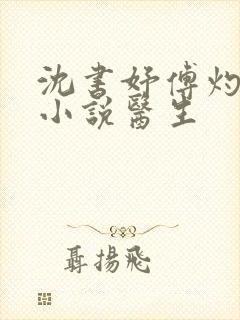 沈书妤傅灼抖音小说医生