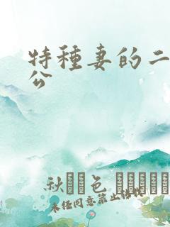 特种妻的二手老公