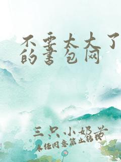 不要太大了会坏的书包网