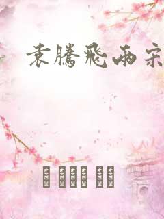 袁腾飞两宋风云